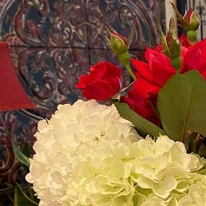 Meet your Posher, Jodi